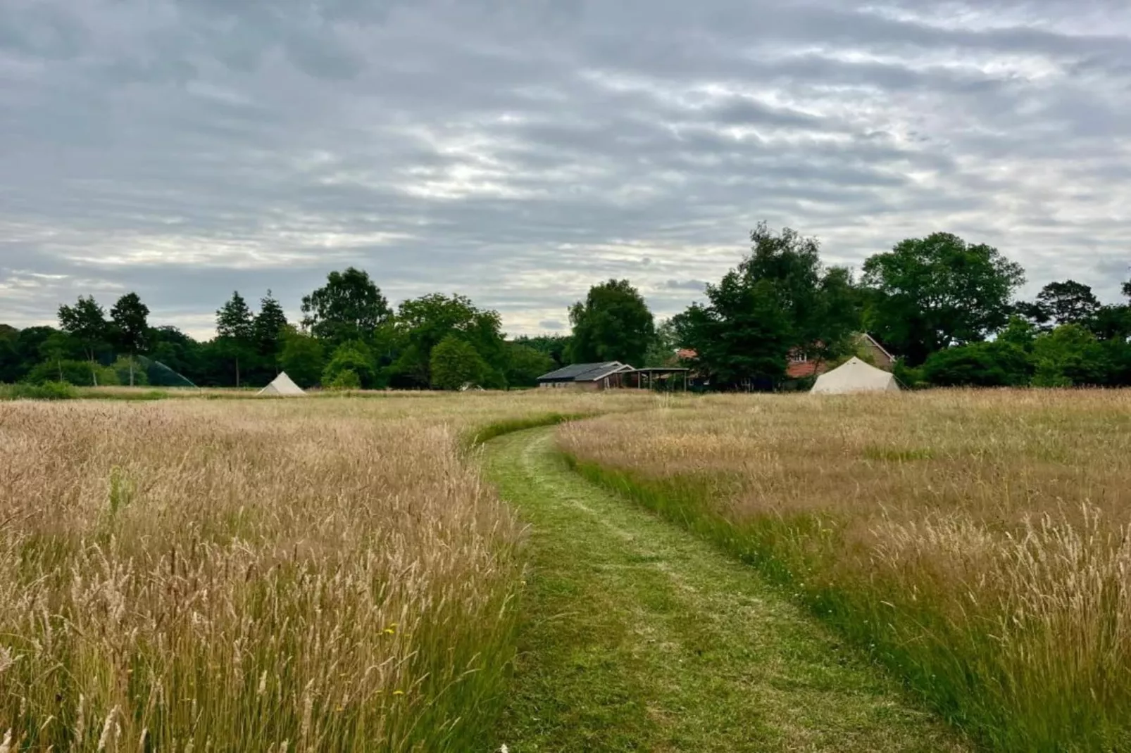 Recreatiebospark de Reehorst 2-Gebieden zomer 20km