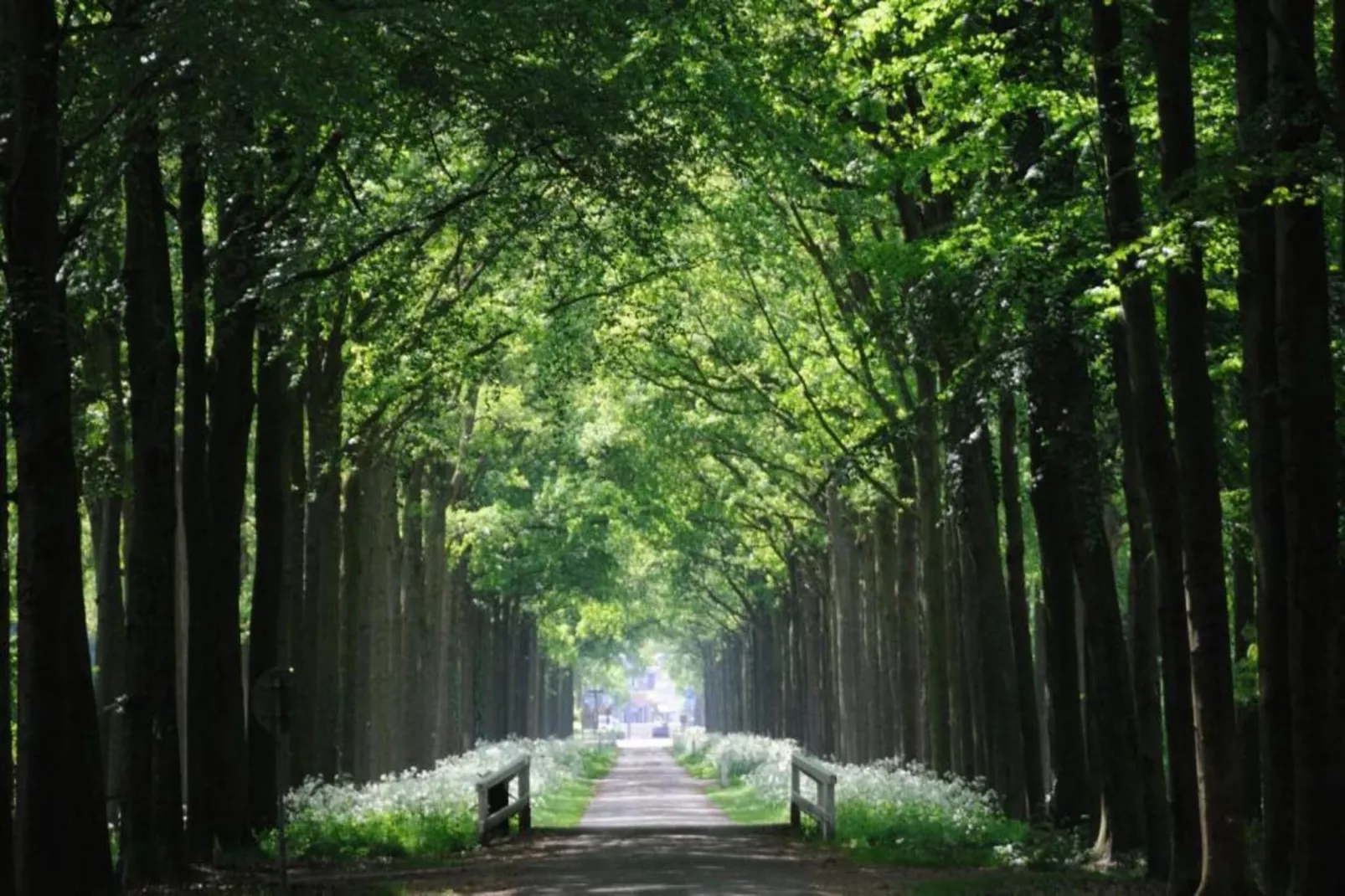 Vakantiepark Mölke 31-Gebieden zomer 20km
