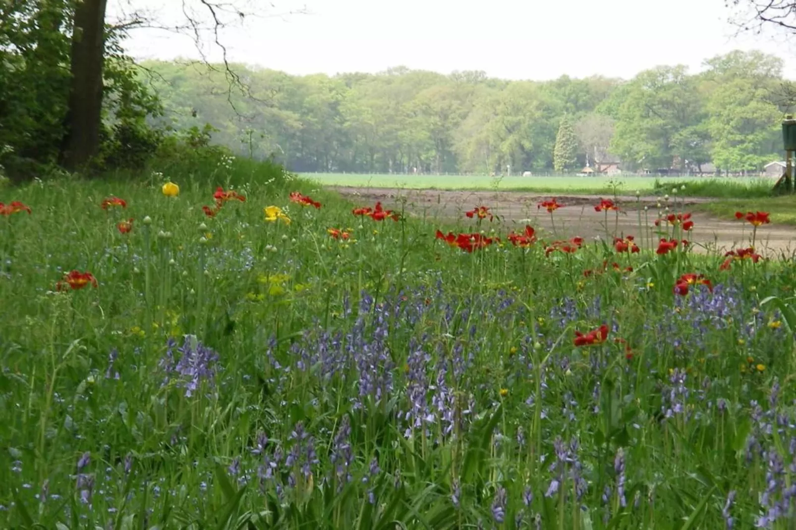 Vakantiecentrum 't Schuttenbelt 7-Gebieden zomer 20km