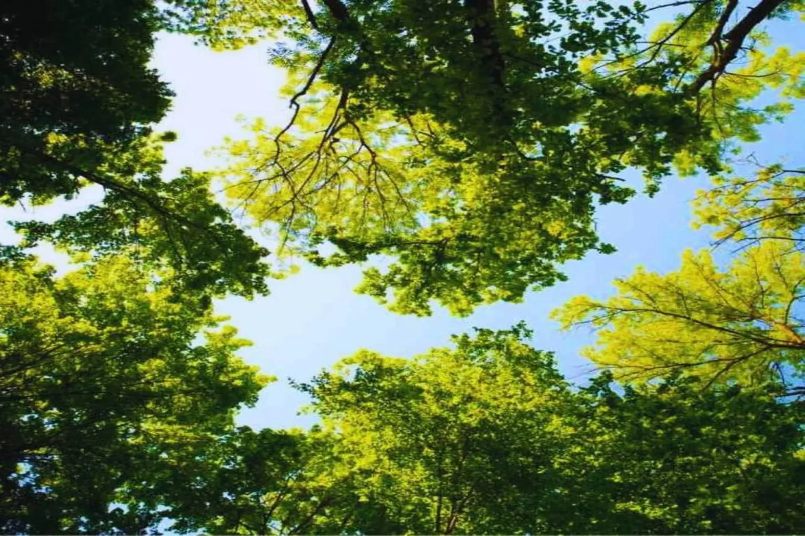 RCN de Jagerstee 3-Gebieden zomer 20km