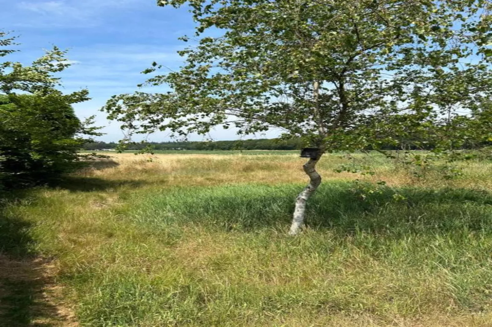 Residence de Eese 15-Gebieden zomer 20km