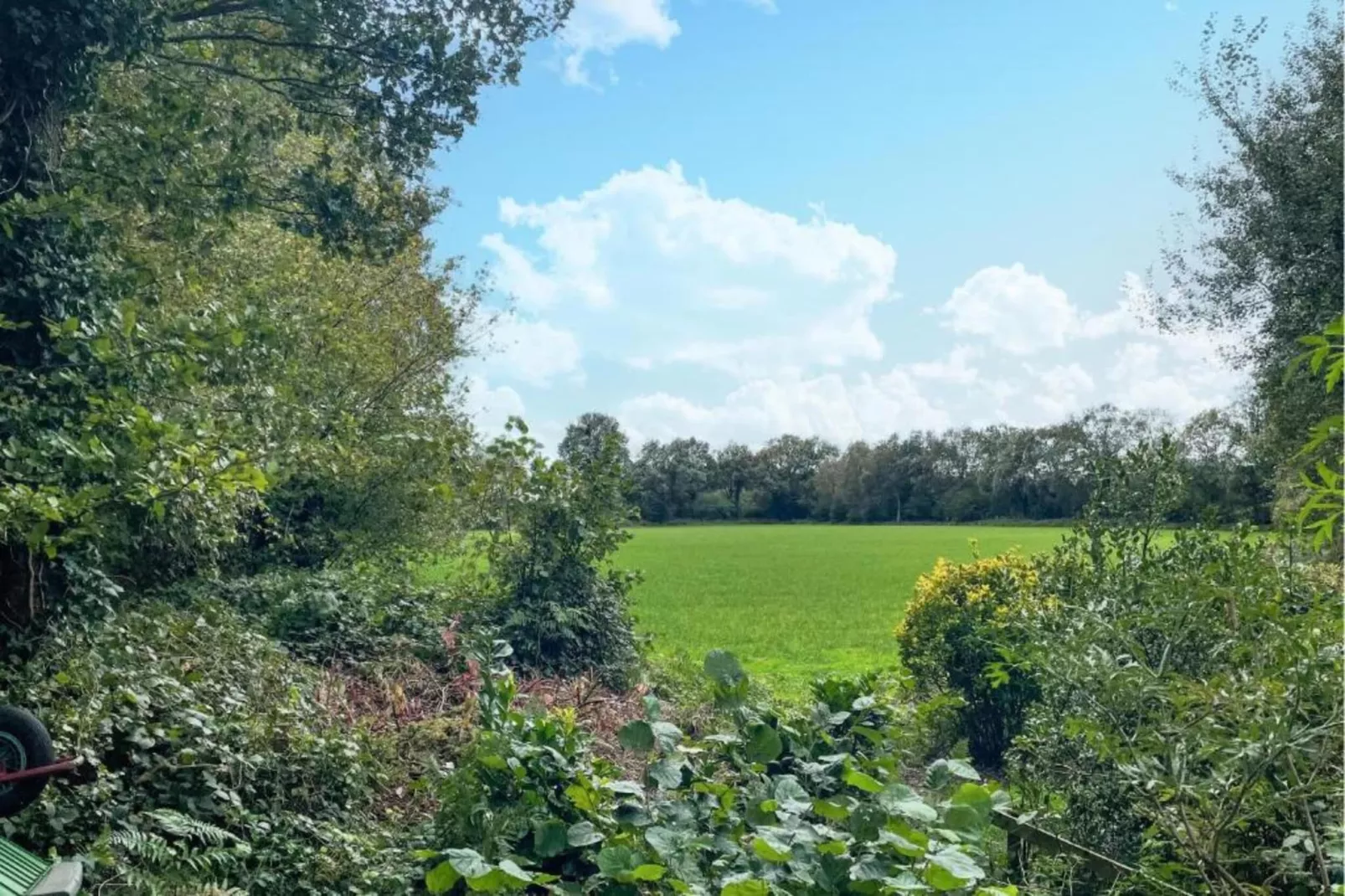 Villapark De Weerribben 3-Gebieden zomer 5km