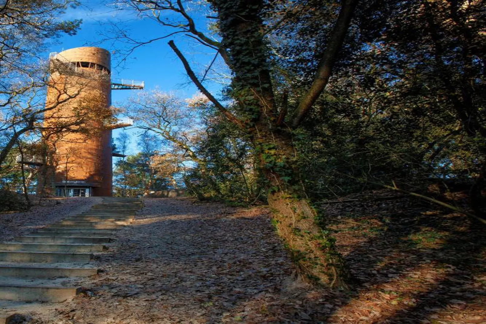 RCN Vakantiepark de Roggeberg 5-Gebieden zomer 20km