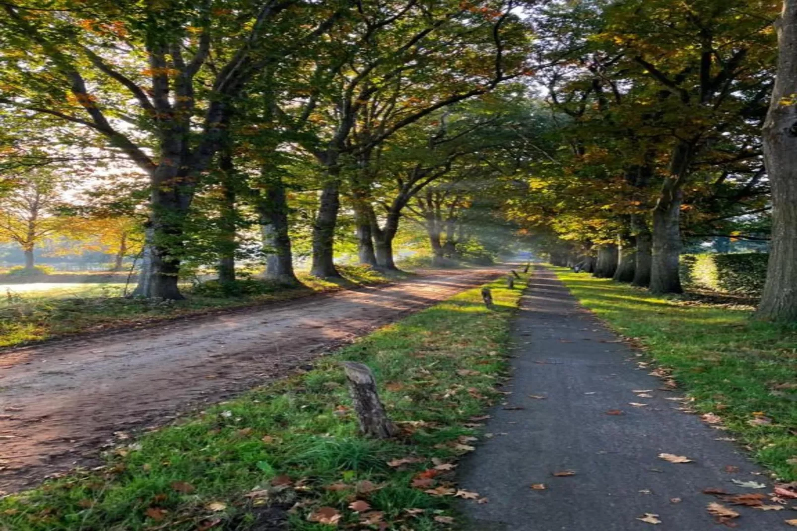 RCN Vakantiepark de Noordster 1-Gebieden zomer 20km