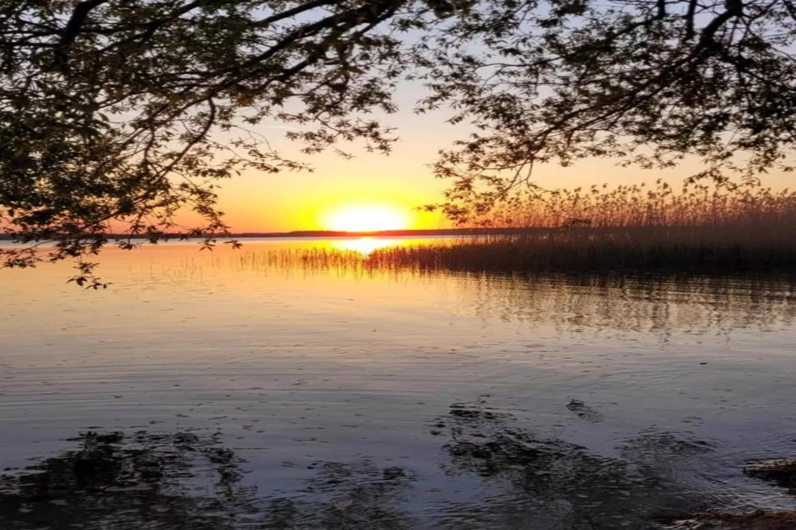 Holiday house by the lake-Gebieden zomer 20km