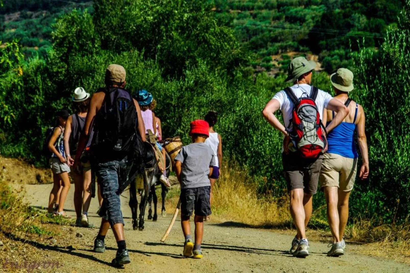 Villa Aloni-Gebieden zomer 20km