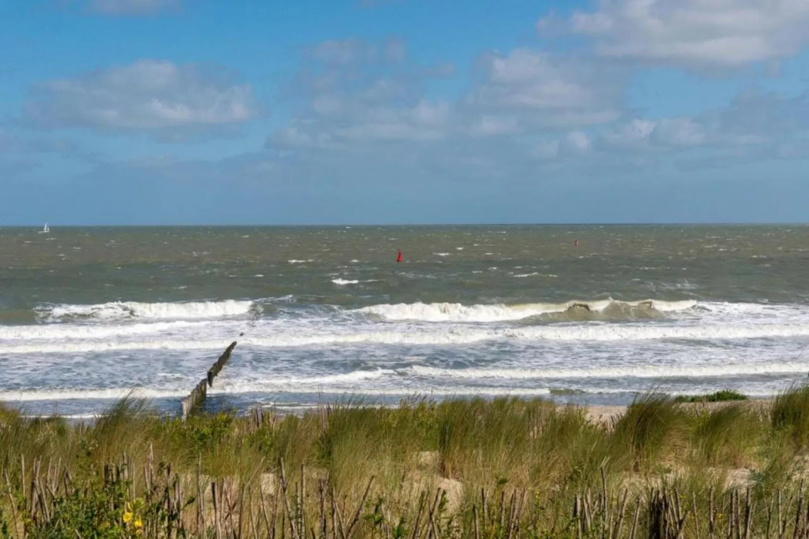 Noordzee Residence Cadzand-Bad 22 - Gebieden zomer 20km