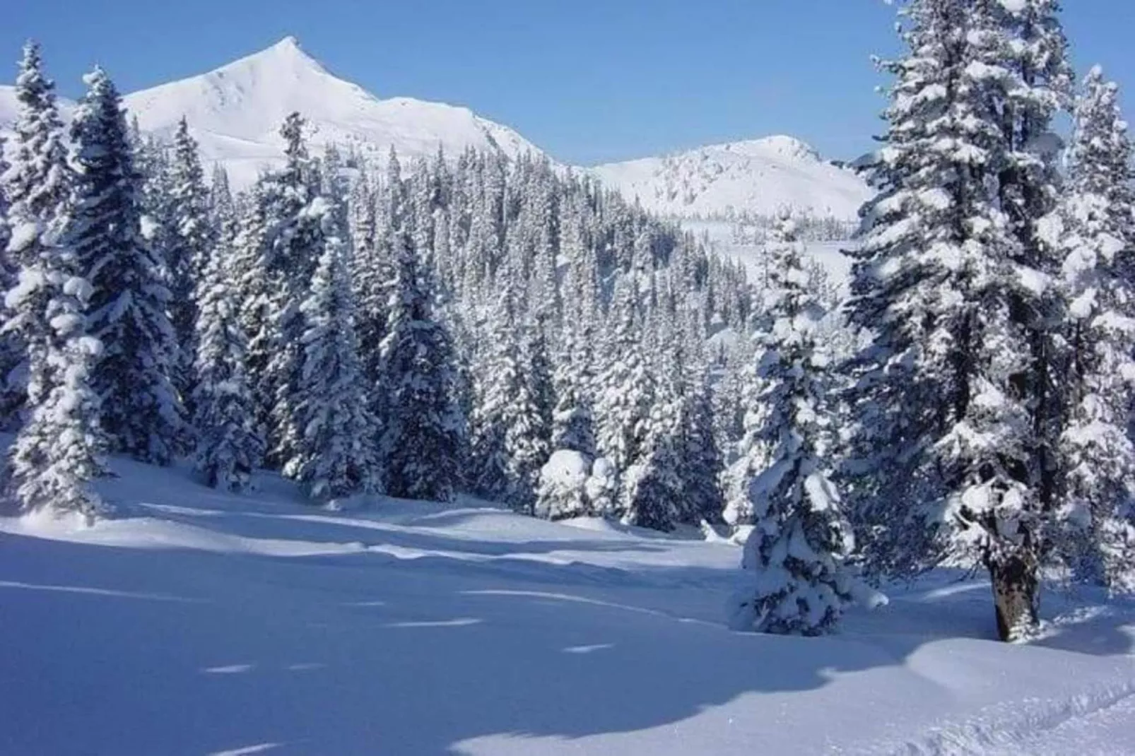 Deifeld-Gebied winter 20km