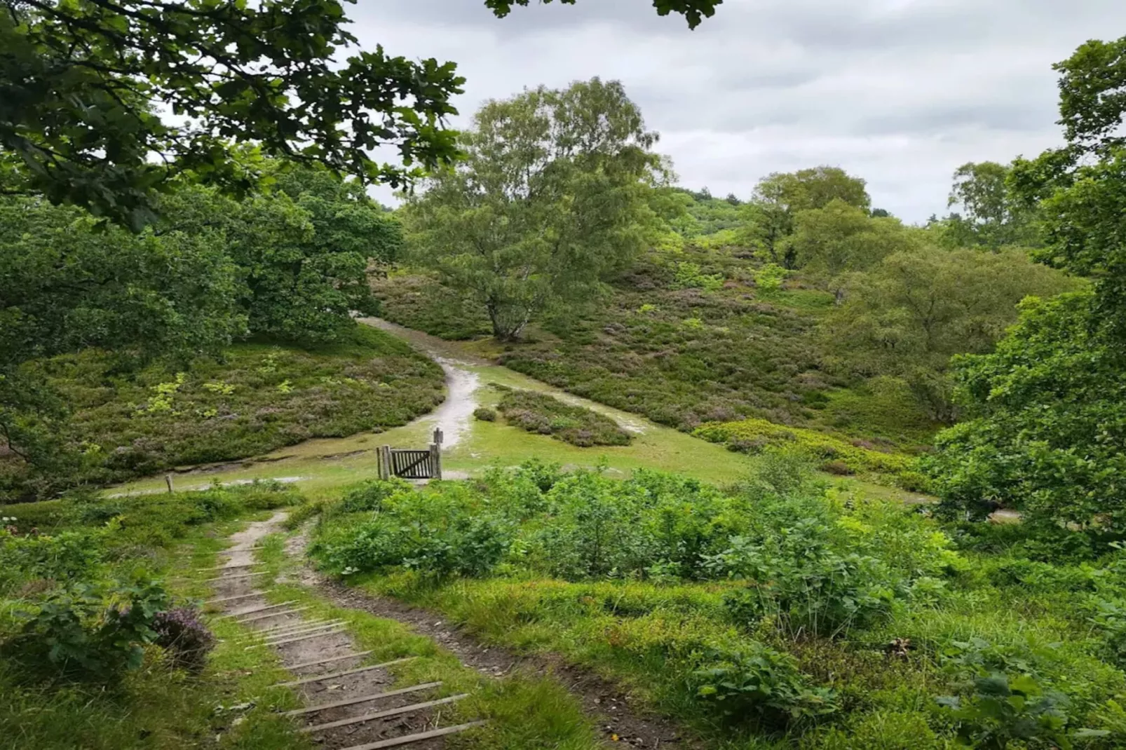 6 persoons vakantie huis in Silkeborg-By Traum-Niet-getagd