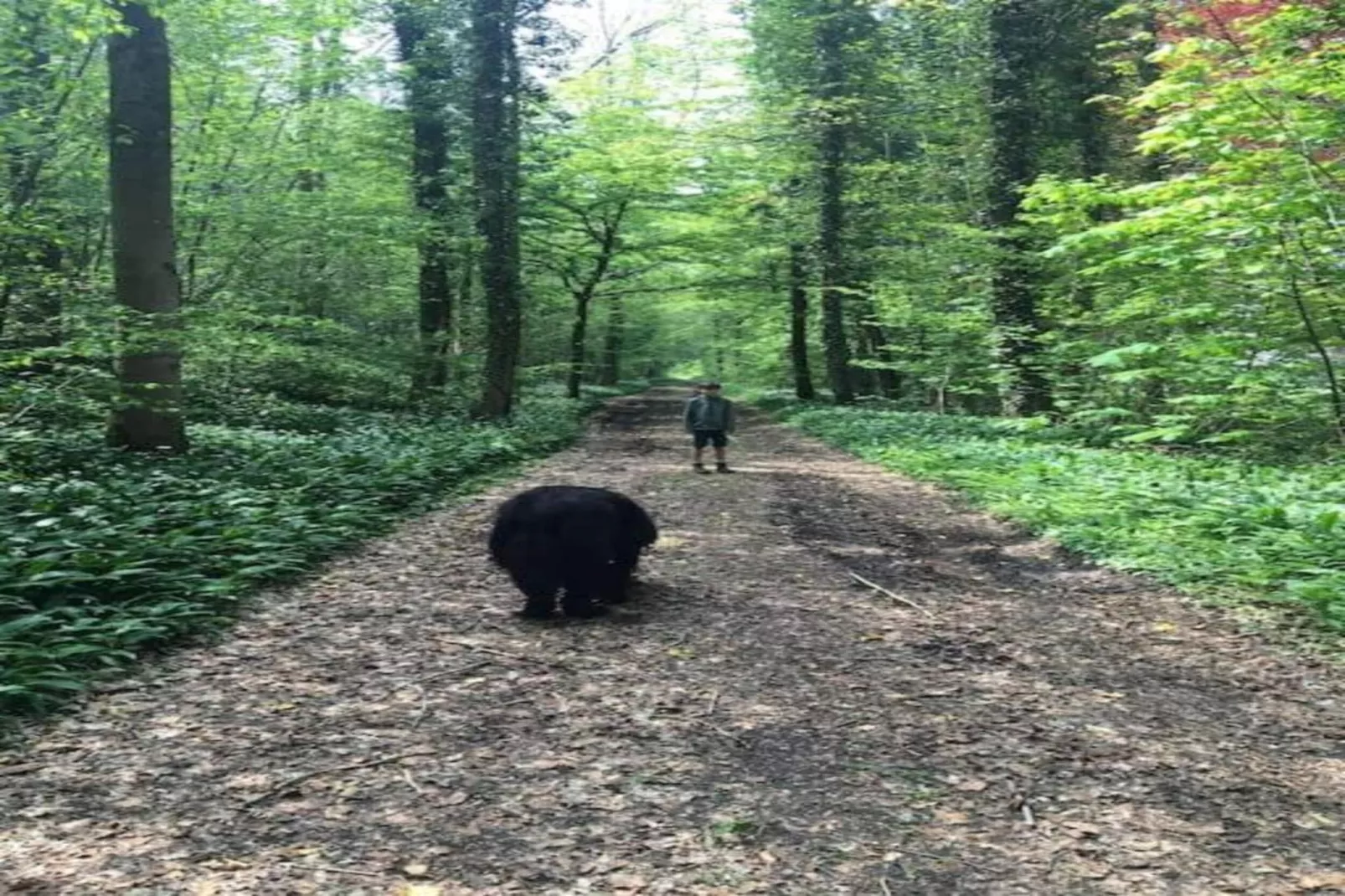 Petit gite des 4 filles-Gebieden zomer 20km