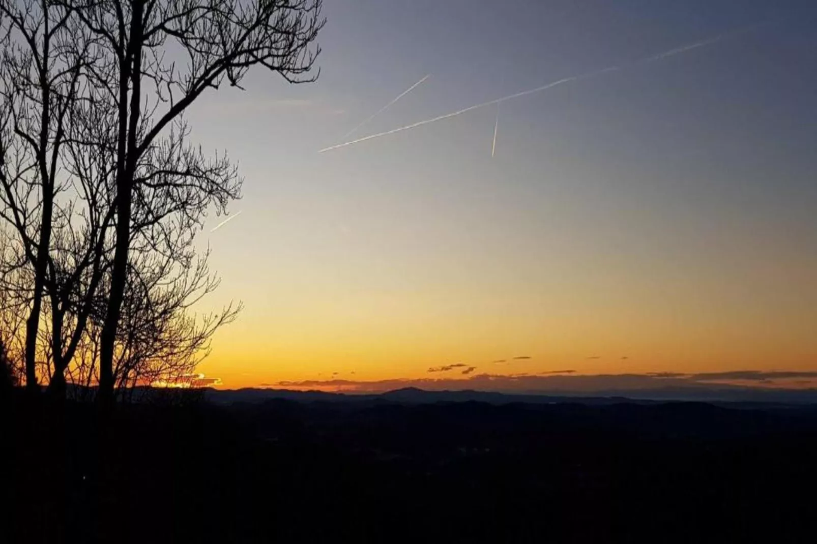 	Holiday flats Haus am Wald Zenting-Wohnung für 2 Personen-Gebieden zomer 20km
