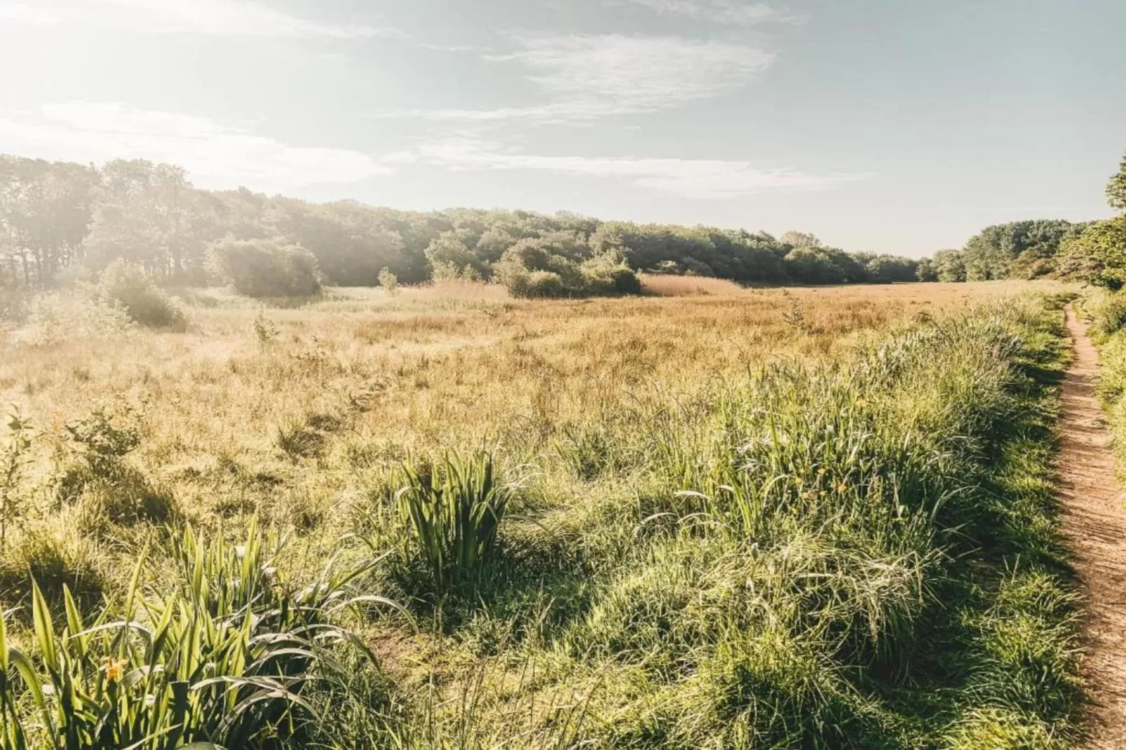 Vakantiepark Duinzicht 13-Gebieden zomer 5km
