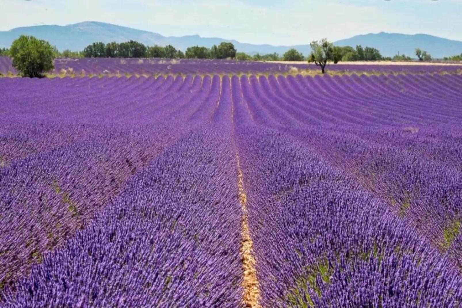 	 Résidence La Licorne de Haute-Provence 4-Gebieden zomer 5km