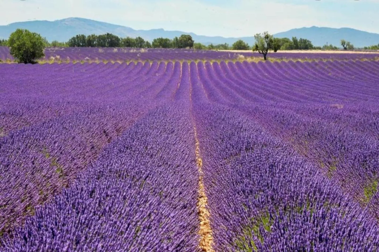 	 Résidence La Licorne de Haute-Provence 3-Gebieden zomer 5km