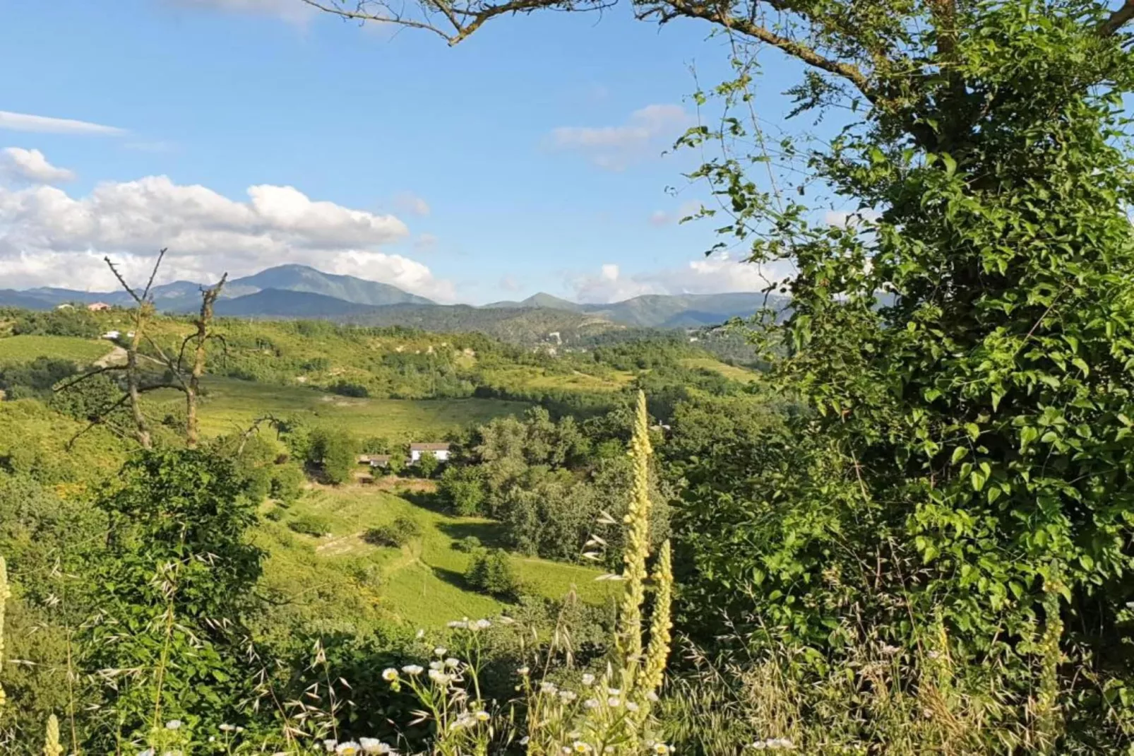 Torretta-Gebieden zomer 20km