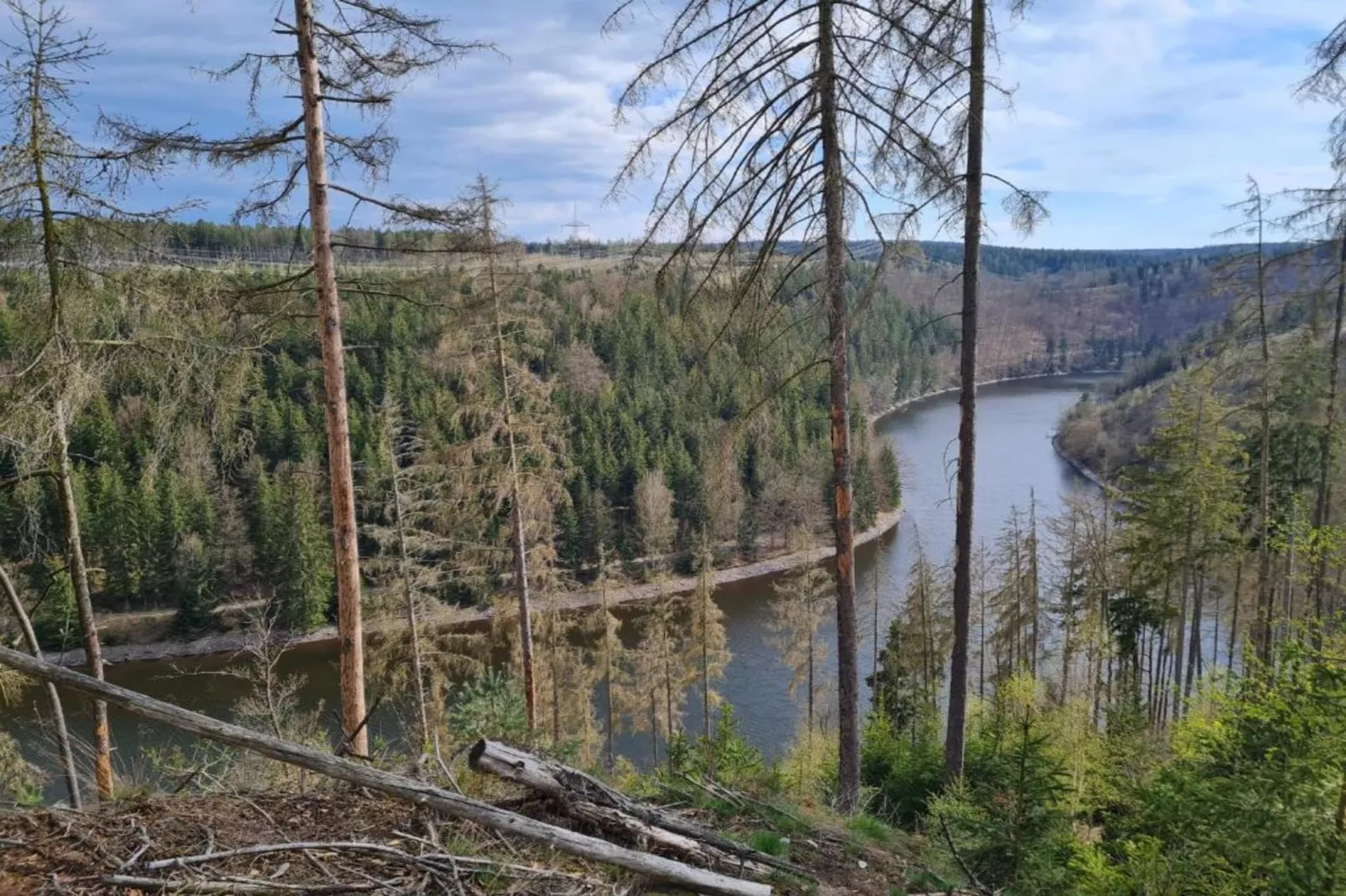 Ferienwohnug an der Saale-Gebieden zomer 1km