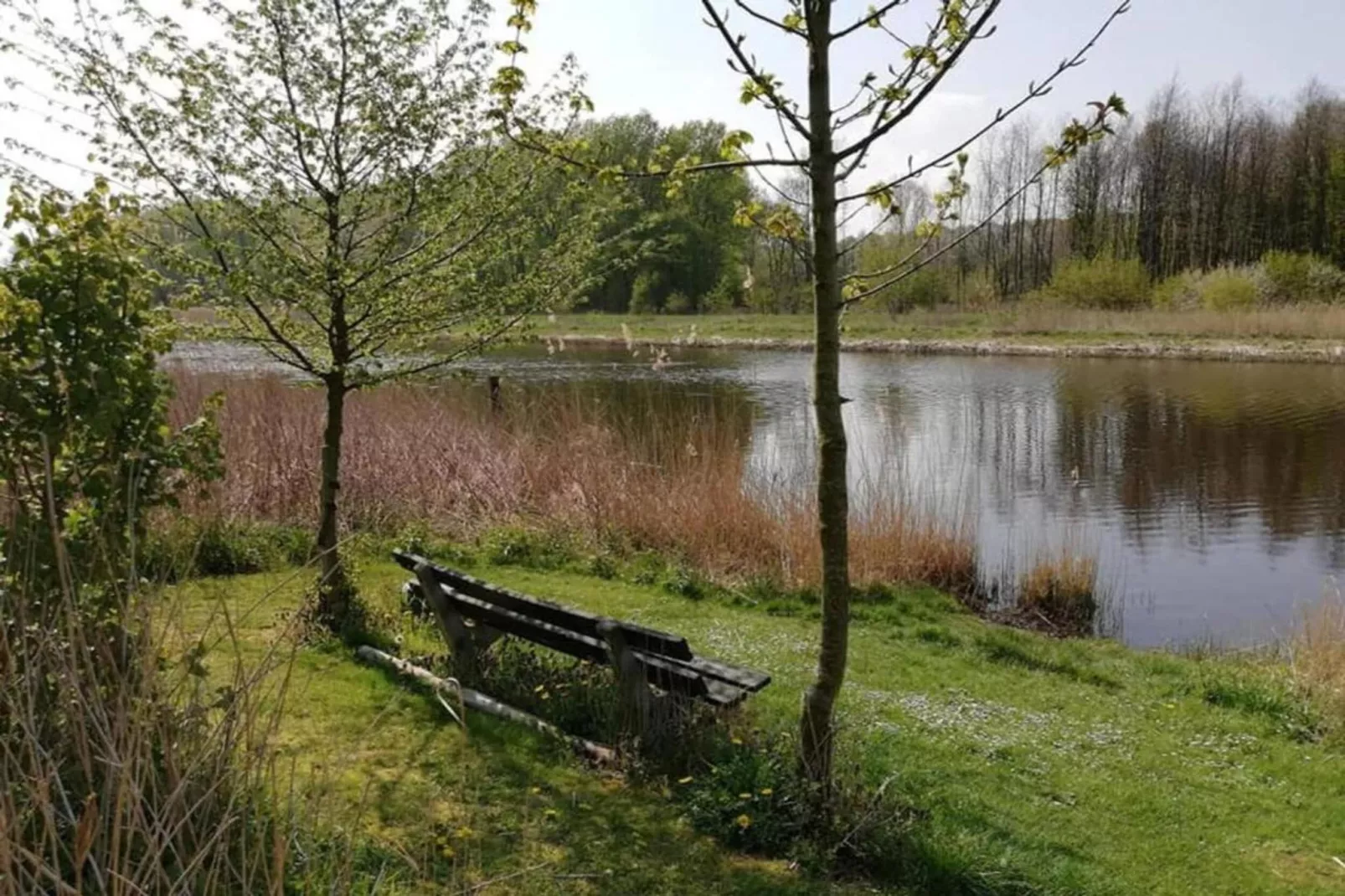 Villa Bosrijk-Gebieden zomer 20km