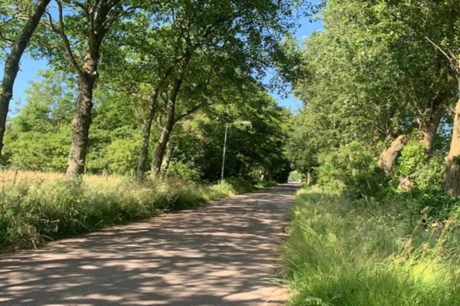 Recreatiepark Wiringherlant - Wiringher Chalet 71-Gebieden zomer 20km