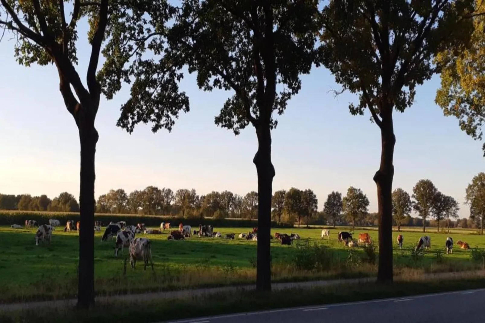 Vakantiepark Latour 5-Gebieden zomer 20km