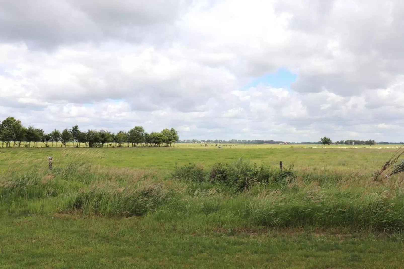 Waterstaete Ossenzijl 4-Gebieden zomer 20km