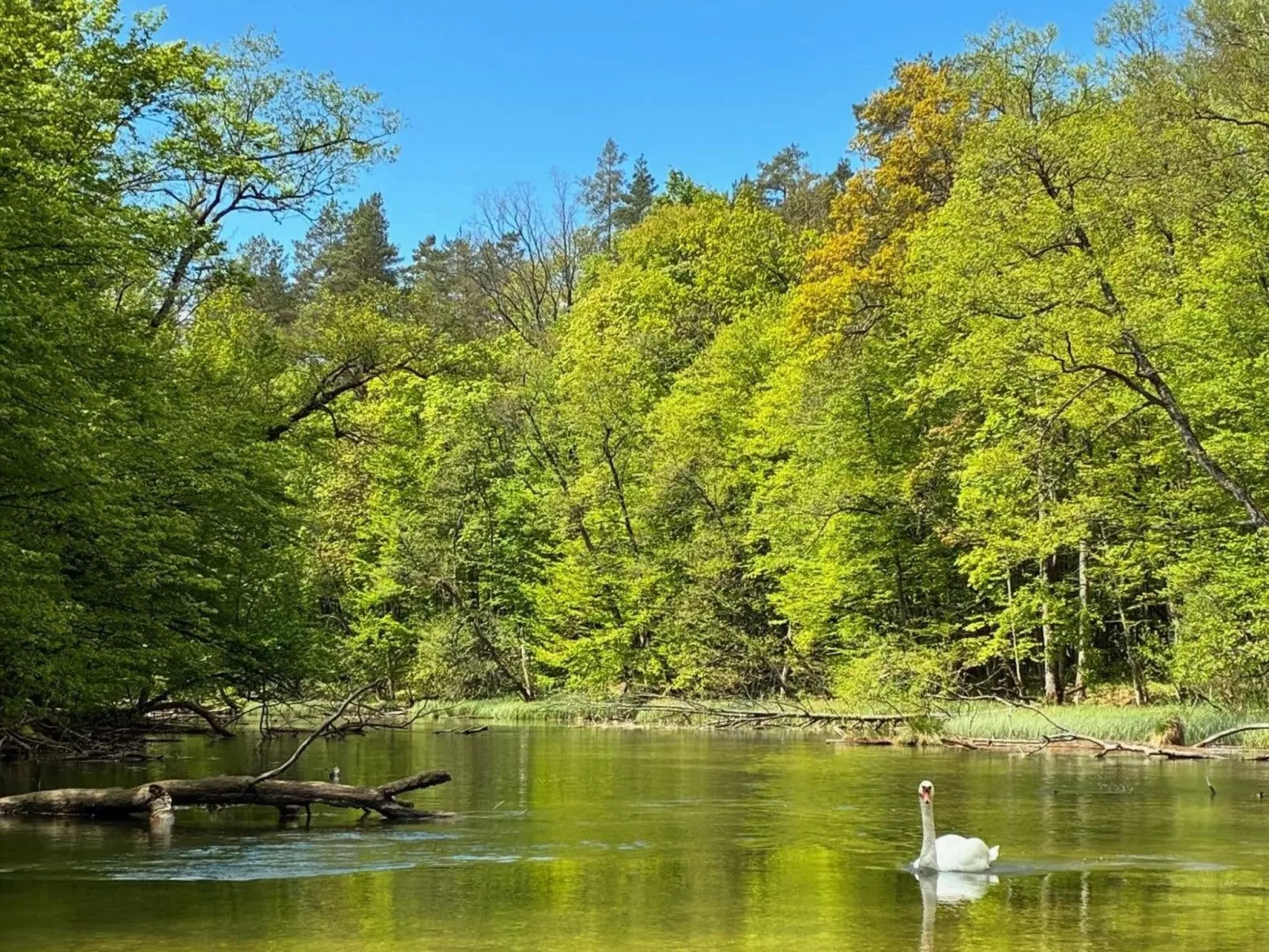 Zagroda nad Krutynią-Buiten