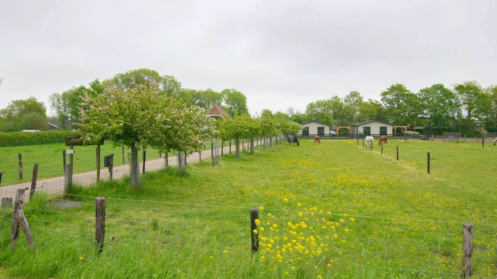 De Zwaluw-Gebieden zomer 1km