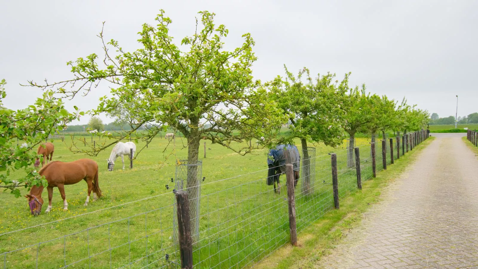 De Zwaluw-Uitzicht zomer