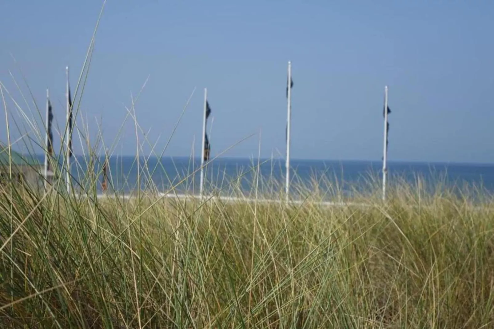 Vakantiepark Duinrust 3-Gebieden zomer 20km