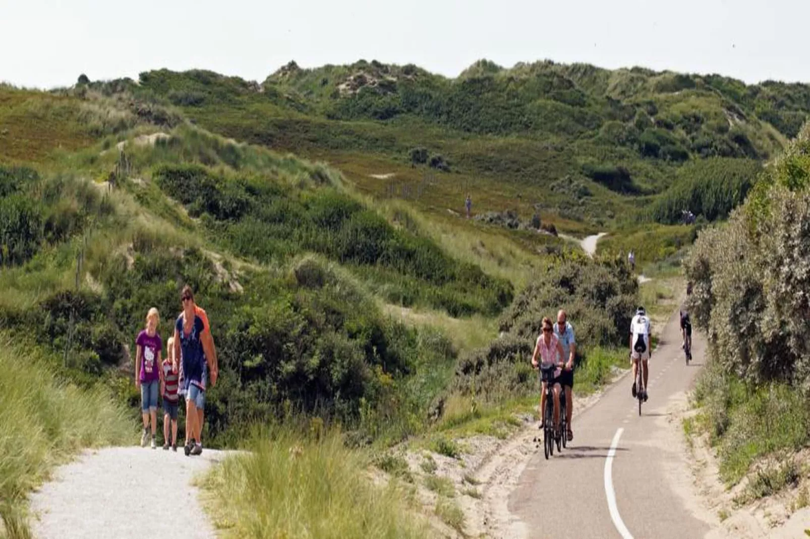 Vakantiepark Duinrust 2-Gebieden zomer 20km