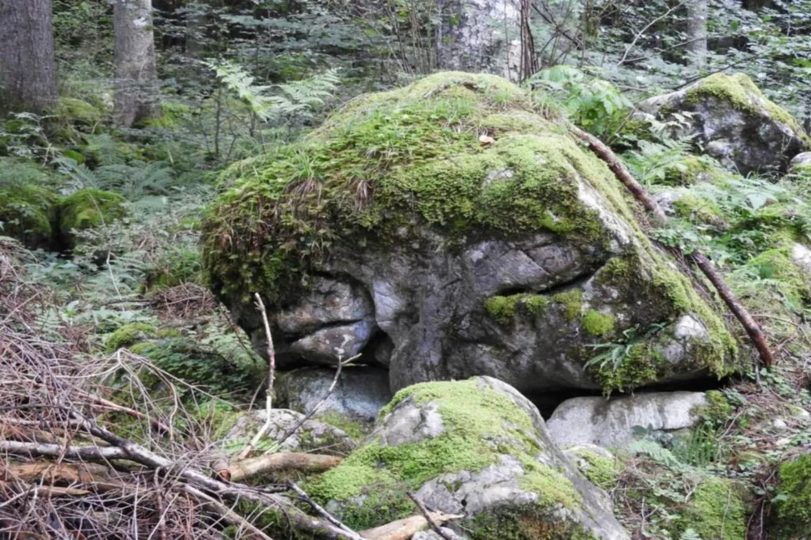 Apartment 3-Gebieden zomer 20km