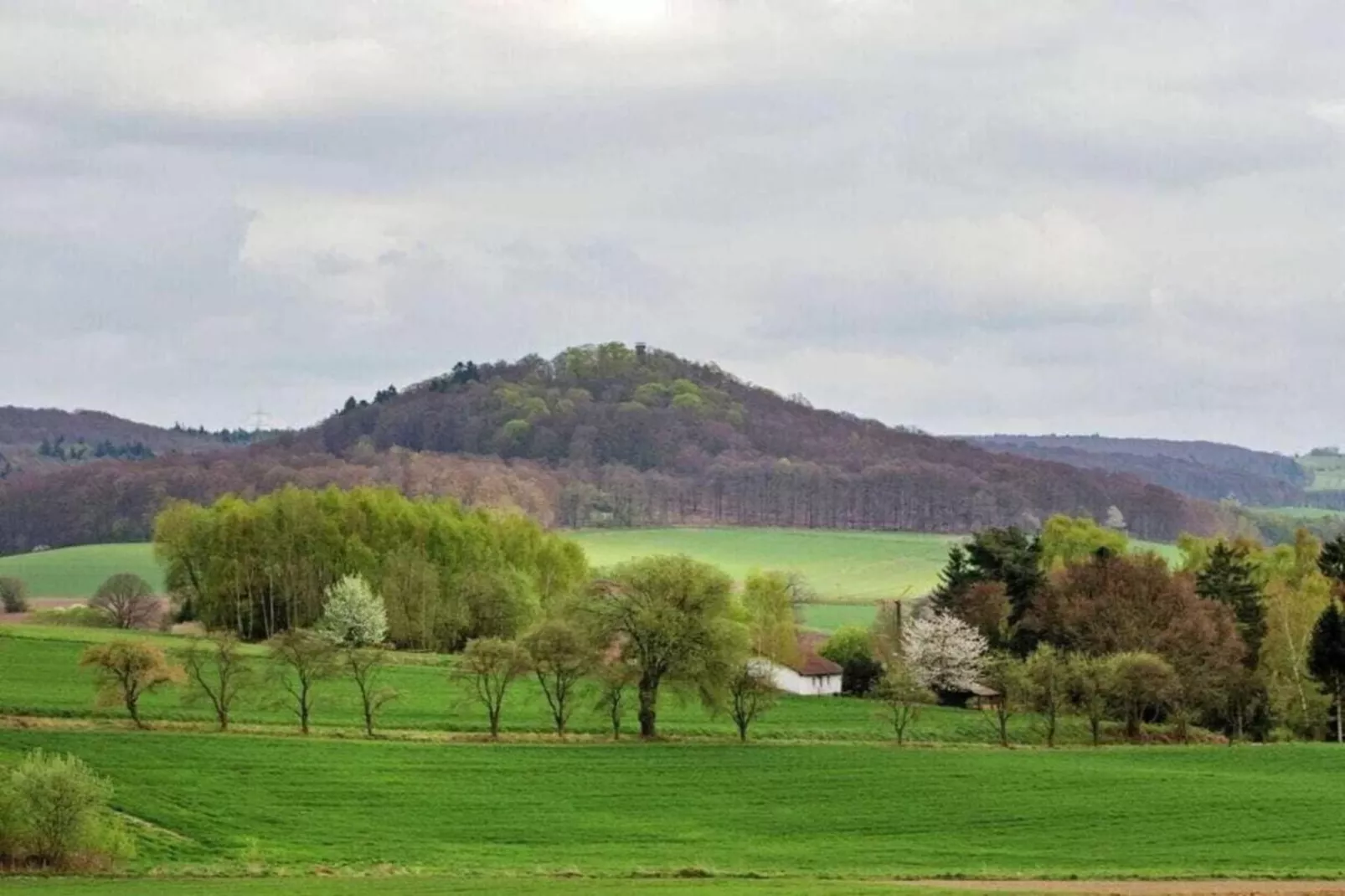 Ferienwohnung Gisela-Gebieden zomer 20km