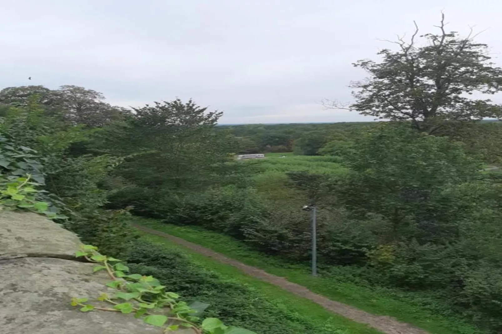 Ferienresort Bad Bentheim 36-Gebieden zomer 20km