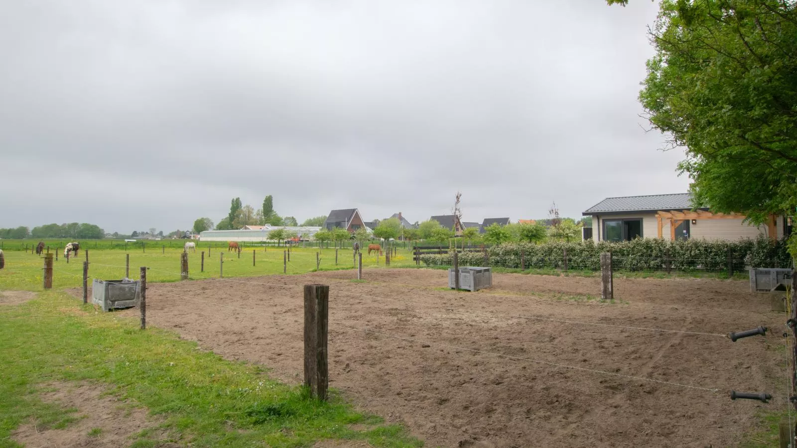 De Huismus-Gebieden zomer 1km