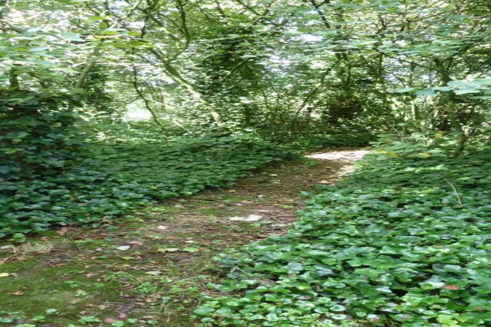 Verblijfpark Breebos 3-Gebieden zomer 20km