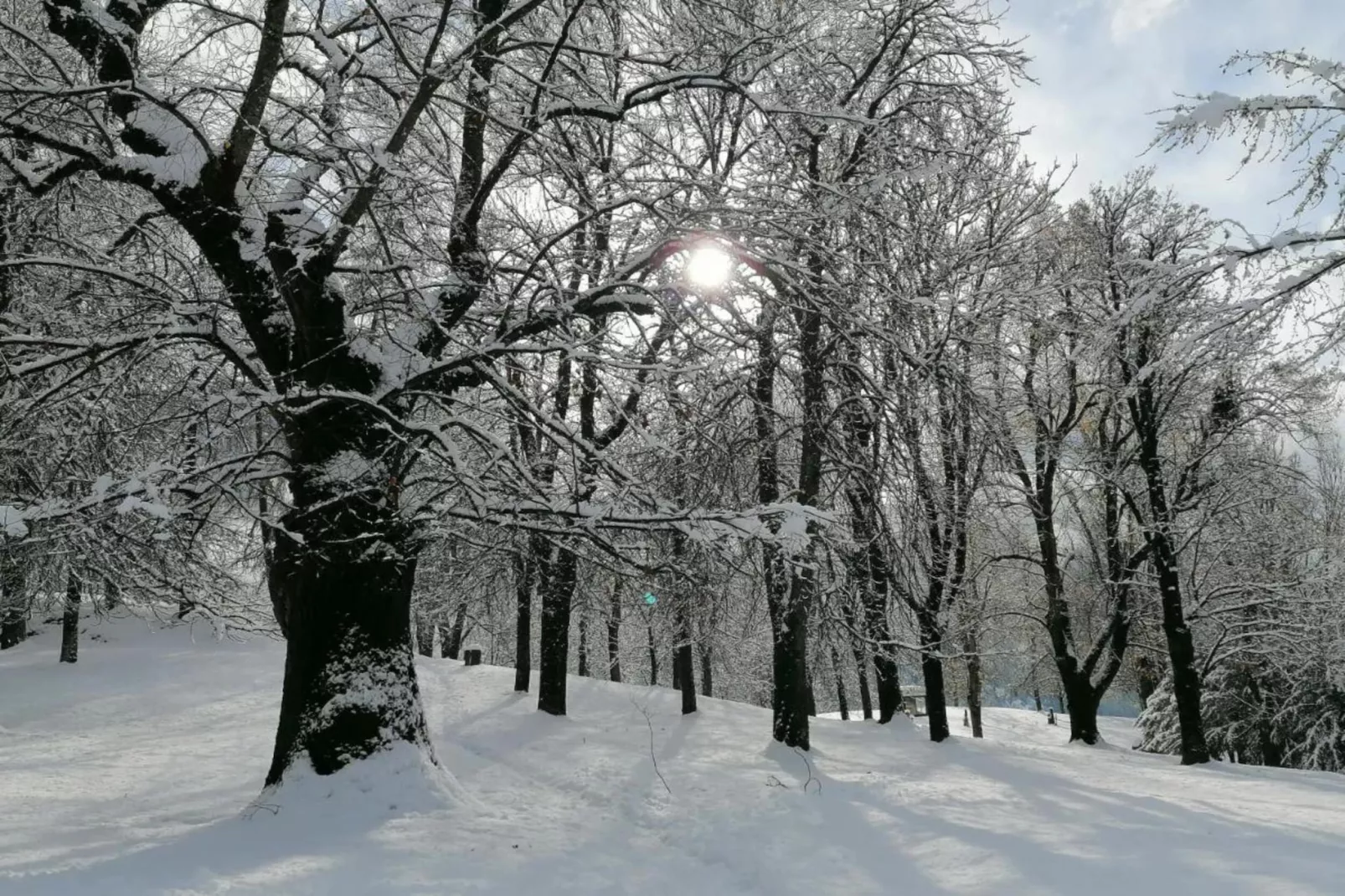 Le Plejadi Bilo 2 sr-Gebied winter 20km