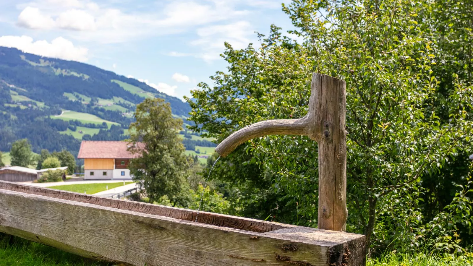 Schöne Aussicht-Tuinen zomer