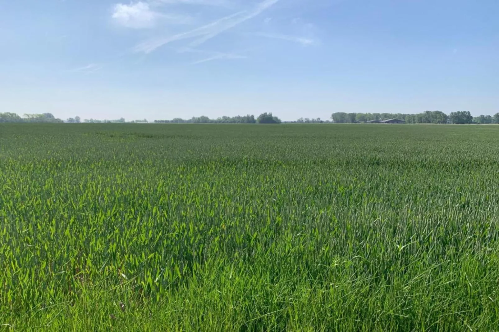 PANORAMA C2 D505-Gebieden zomer 20km