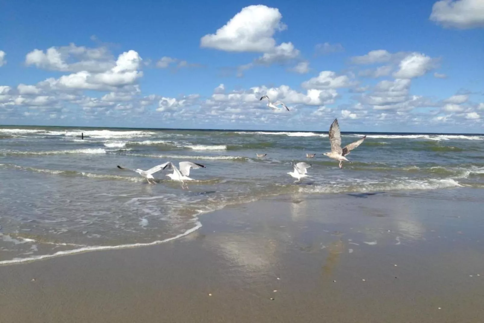 Strandpark Vlugtenburg 8-Gebieden zomer 20km