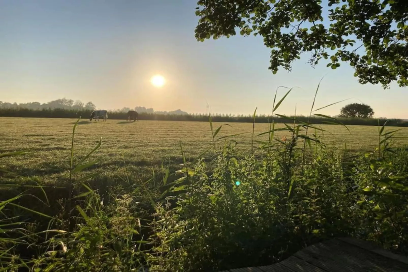 Huisje 'In de Tuin' A en B-Gebieden zomer 20km