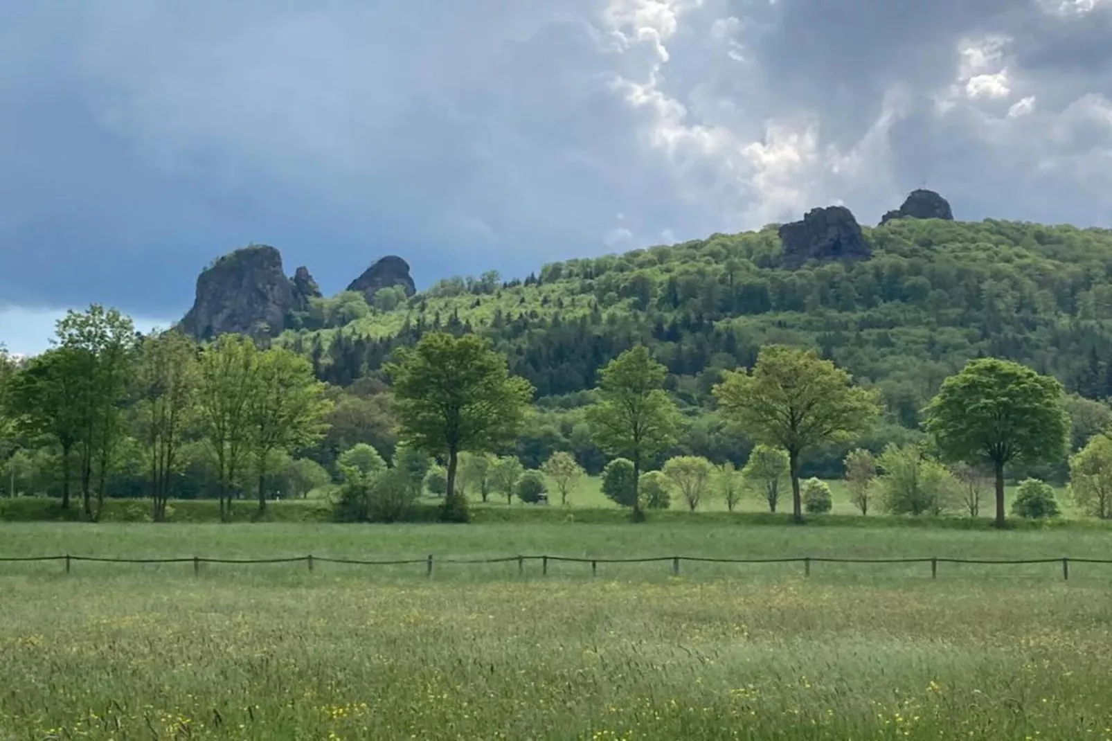 Ferienwohnung am Wald-Gebieden zomer 5km