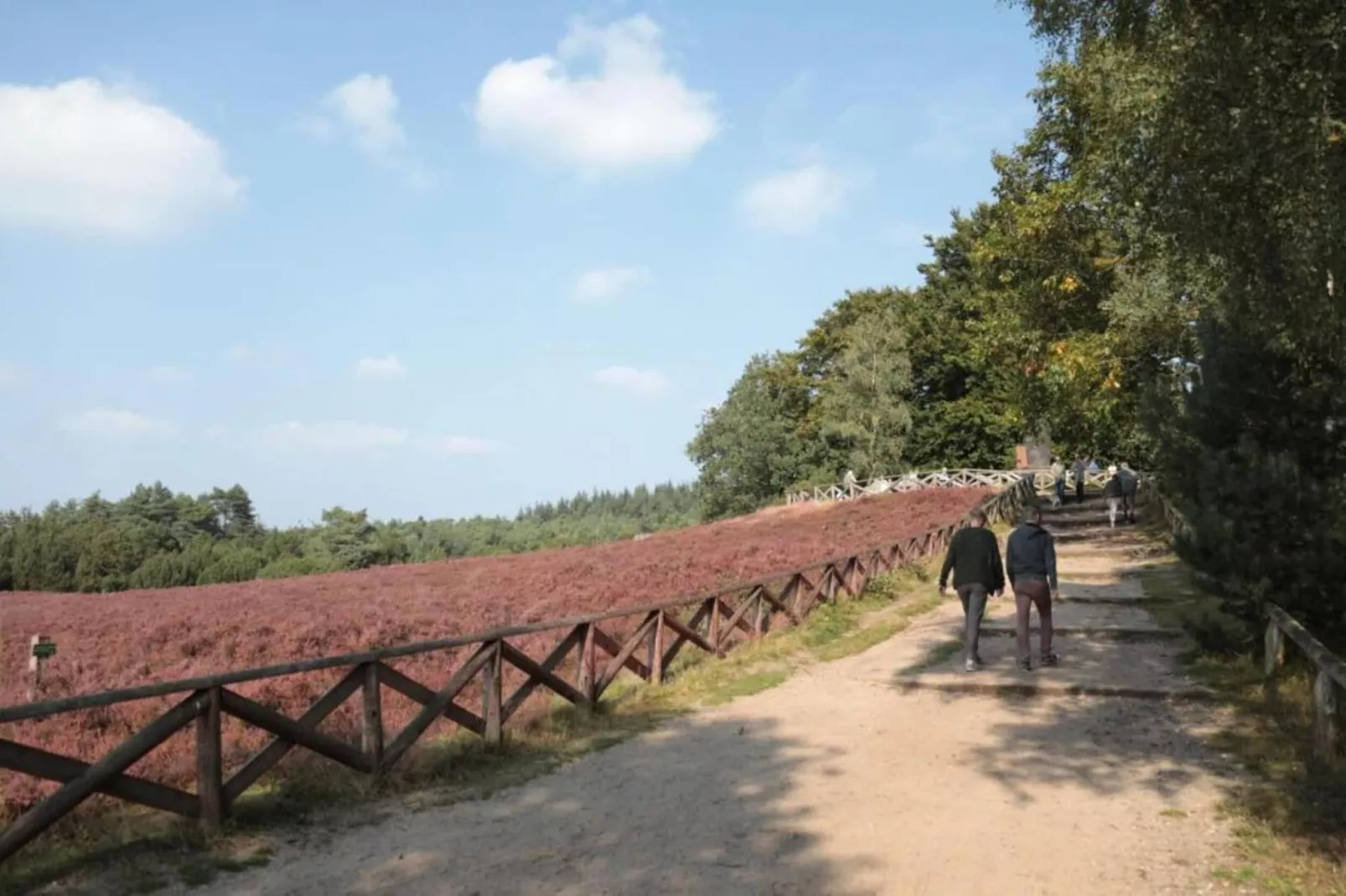 Buitenplaats Holten 20-Gebieden zomer 20km