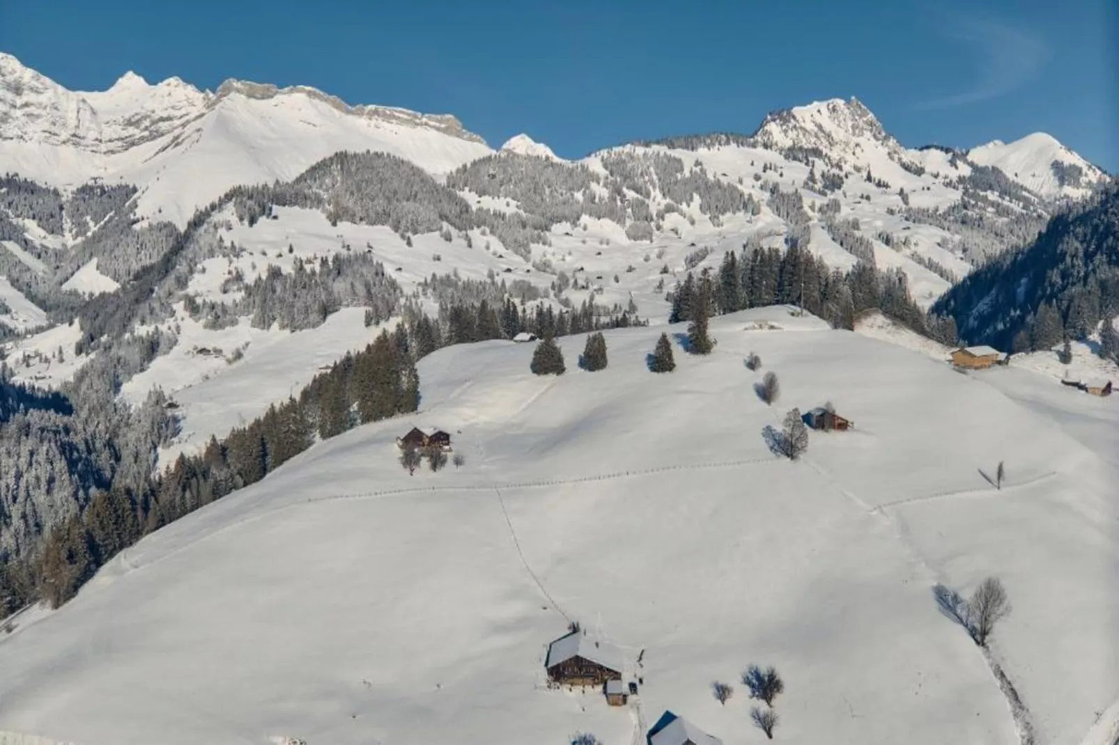 Super private Luxury Chalet with Hotel facilities-Gebied winter 20km