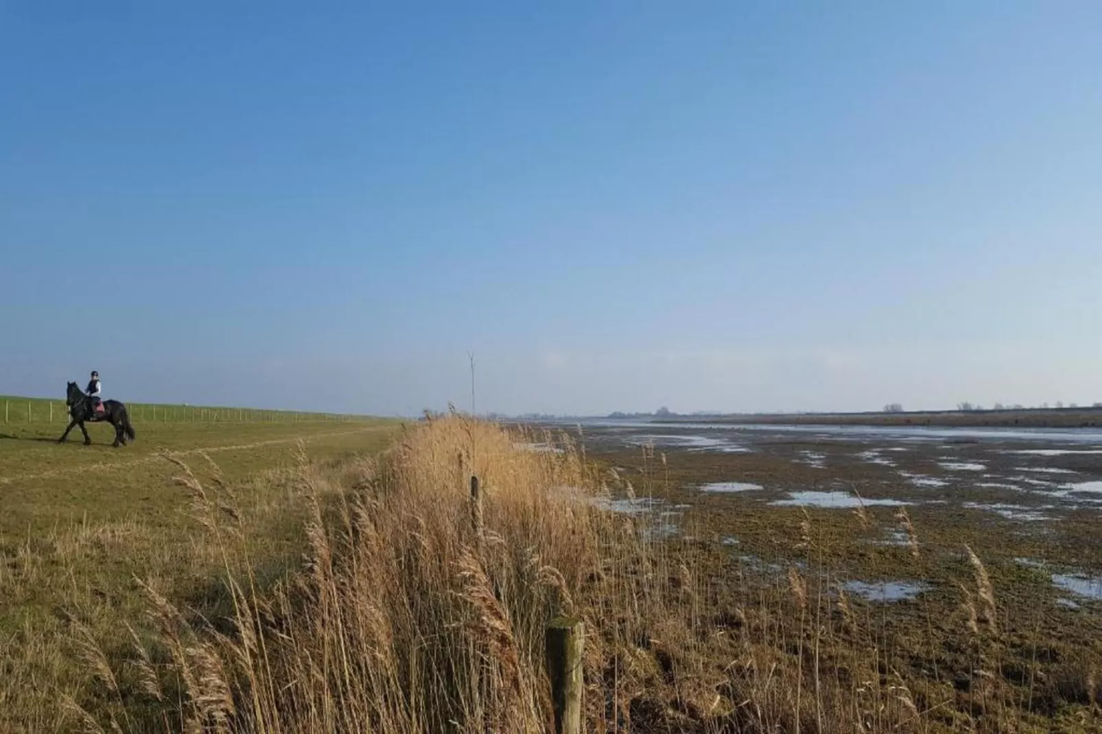 Standaard 24-Gebieden zomer 20km