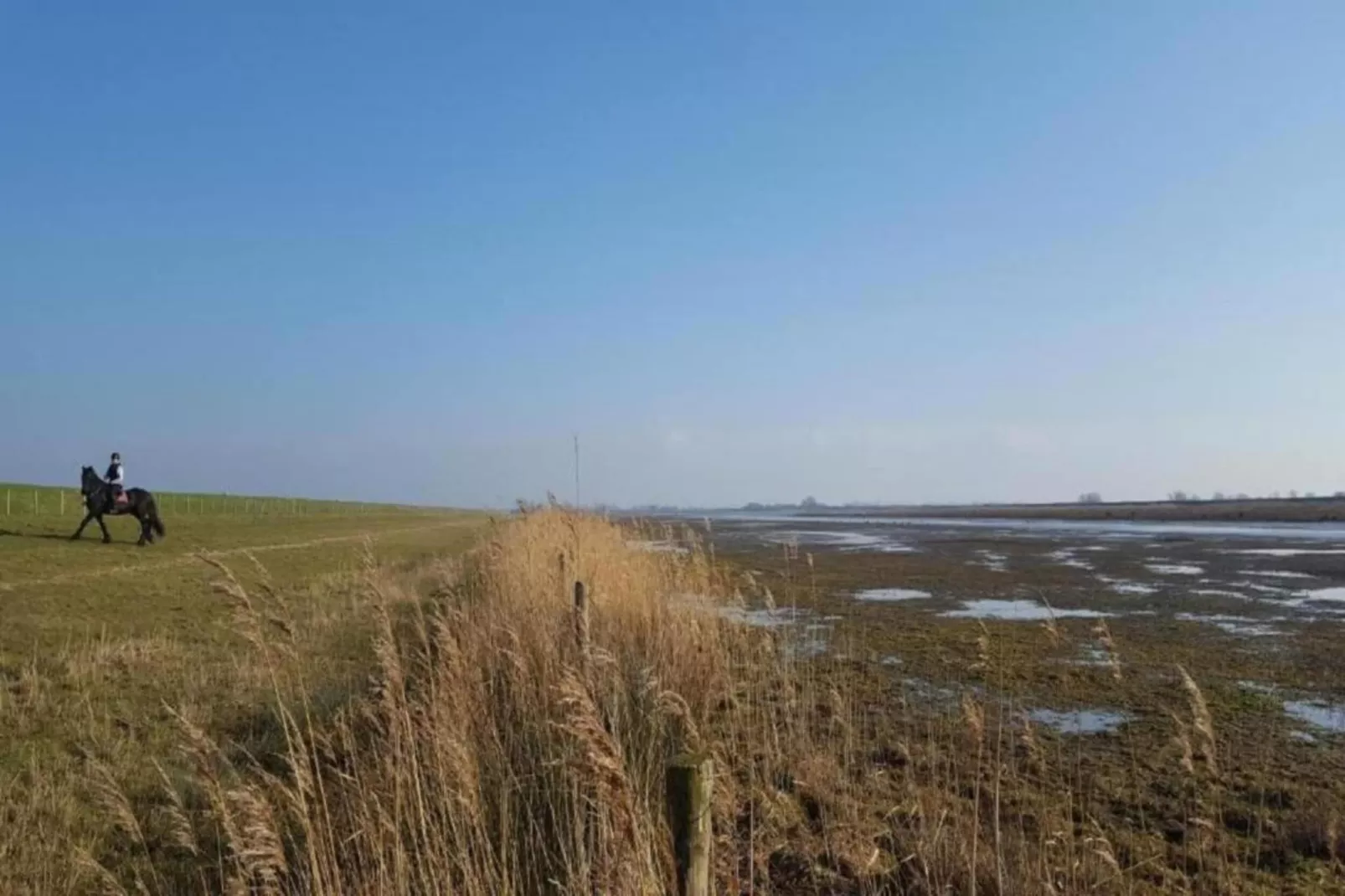 Standaard 211-Gebieden zomer 20km