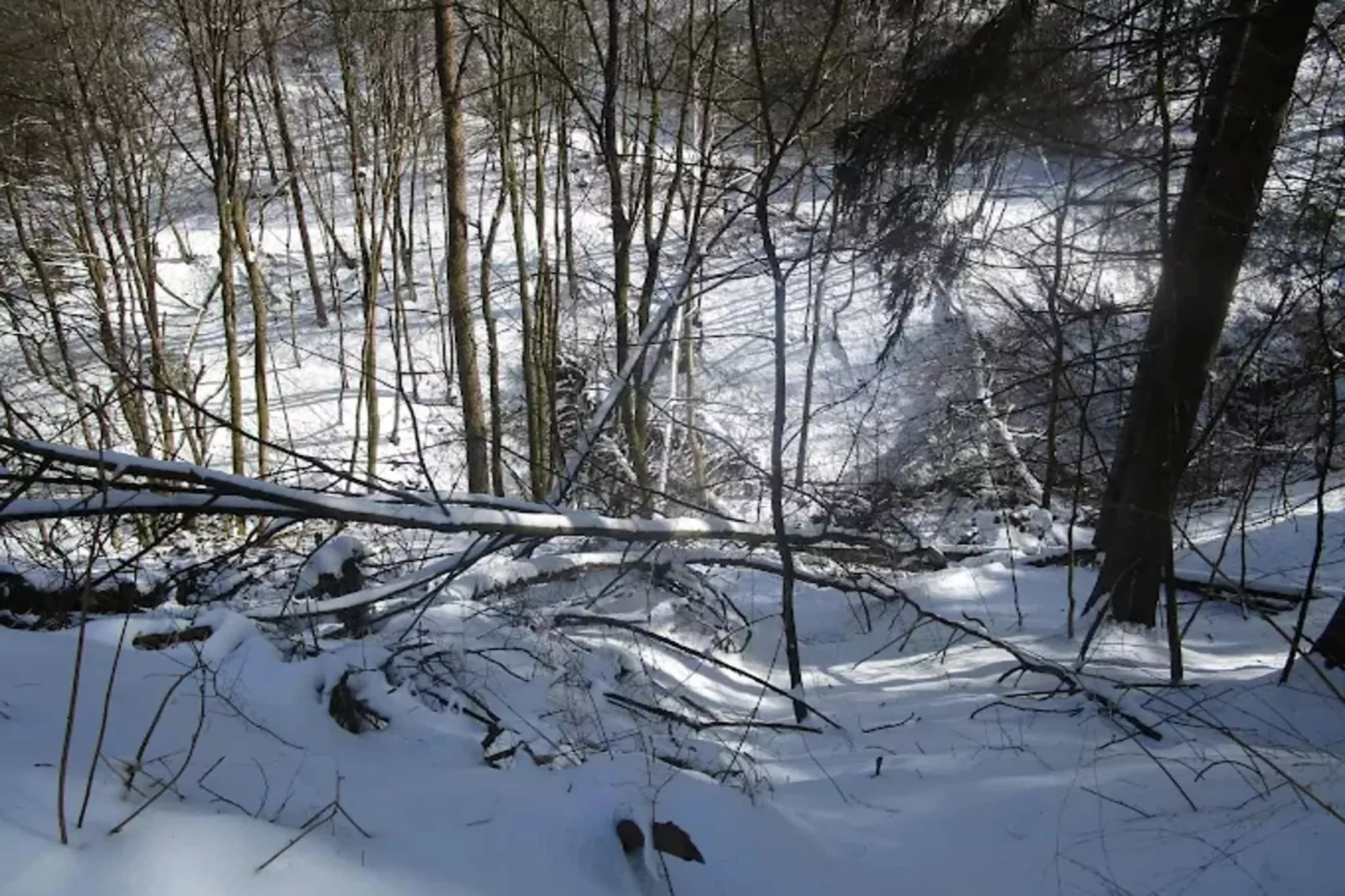 Ferienhaus K17-Kirchstrasse 17-Gebied winter 5km
