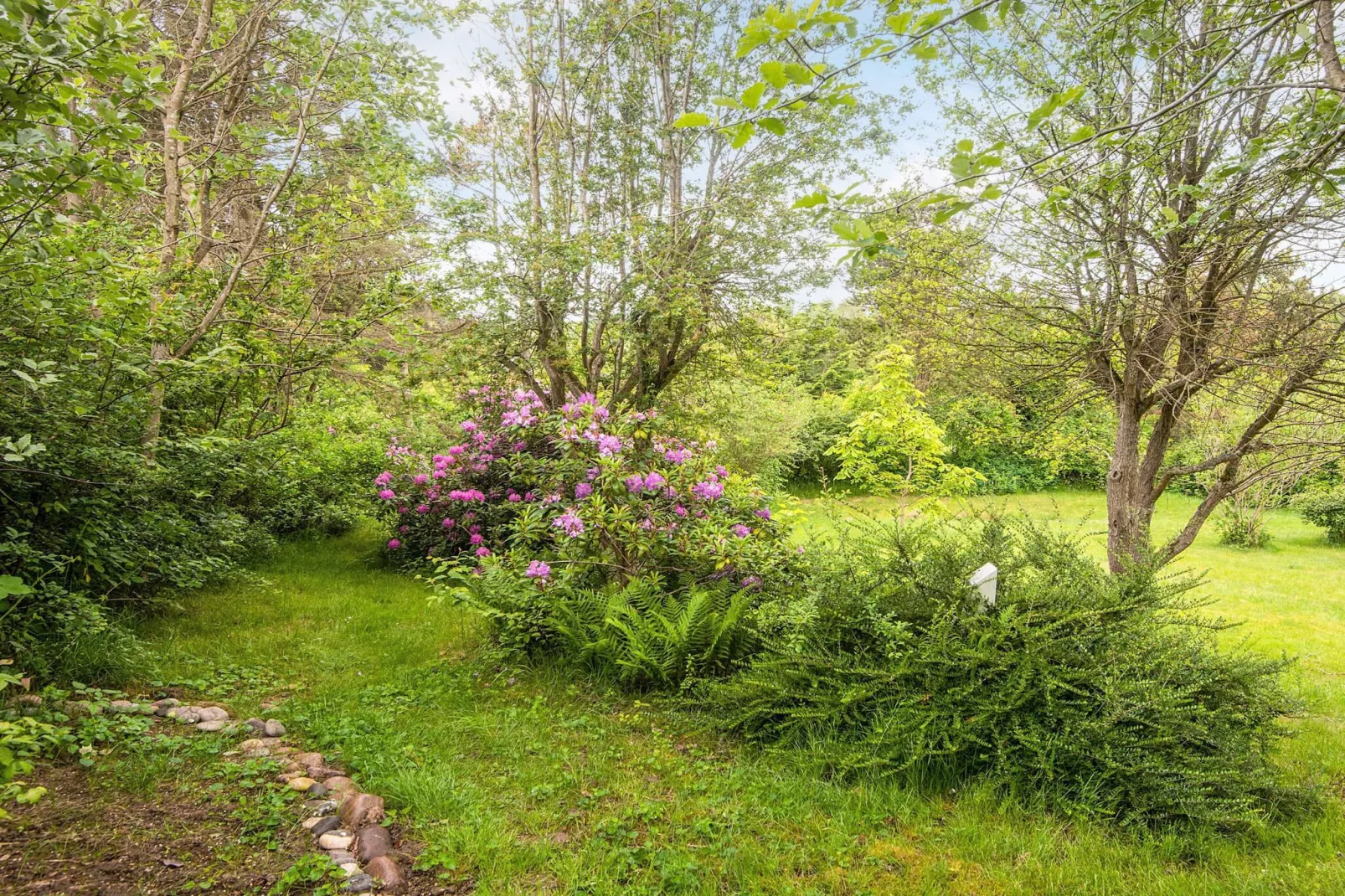 5 Personen vakantie huis in Knebel-Uitzicht