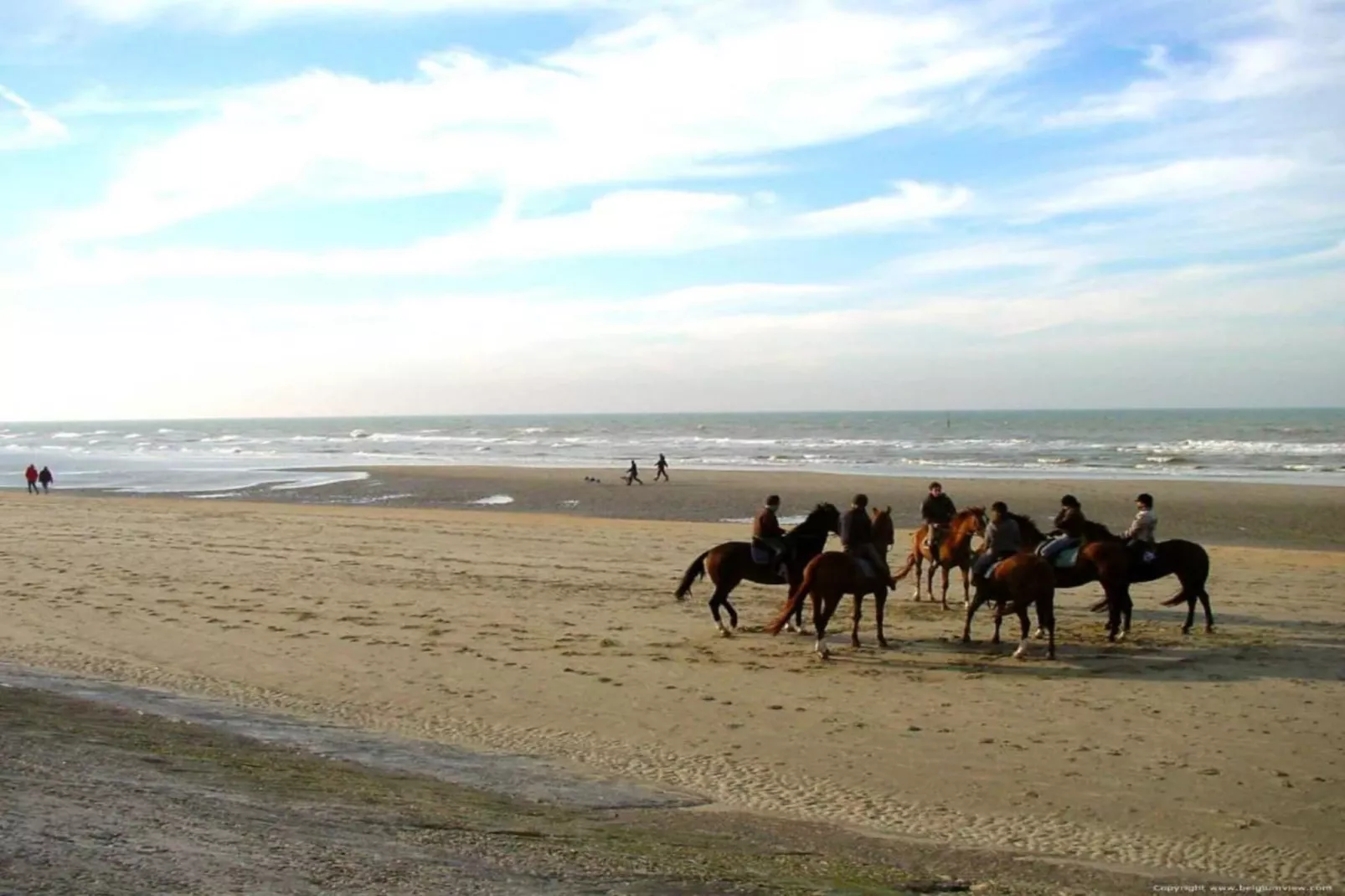 STARFISH - 3RD-Gebieden zomer 1km