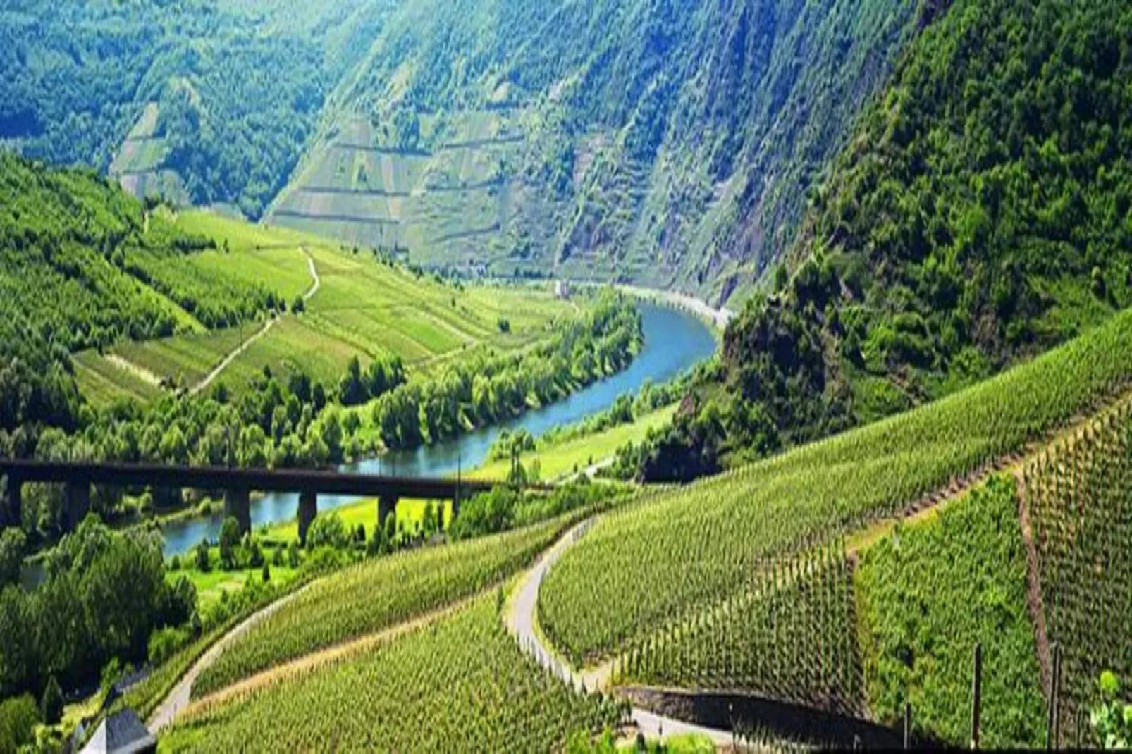 Ferienhaus der Saison an der Mosel-Gebieden zomer 20km
