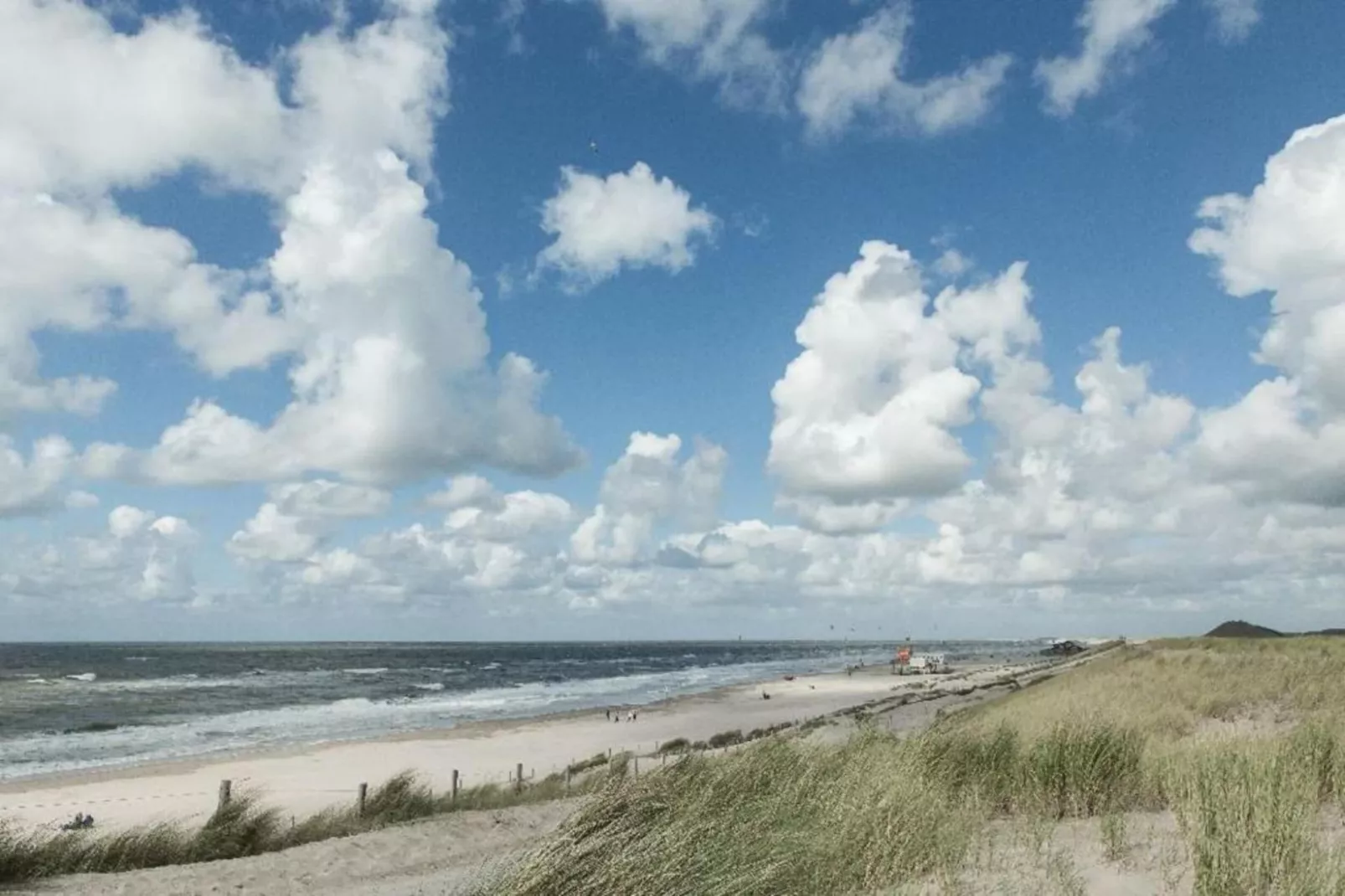 De Schelp 21-Gebieden zomer 5km
