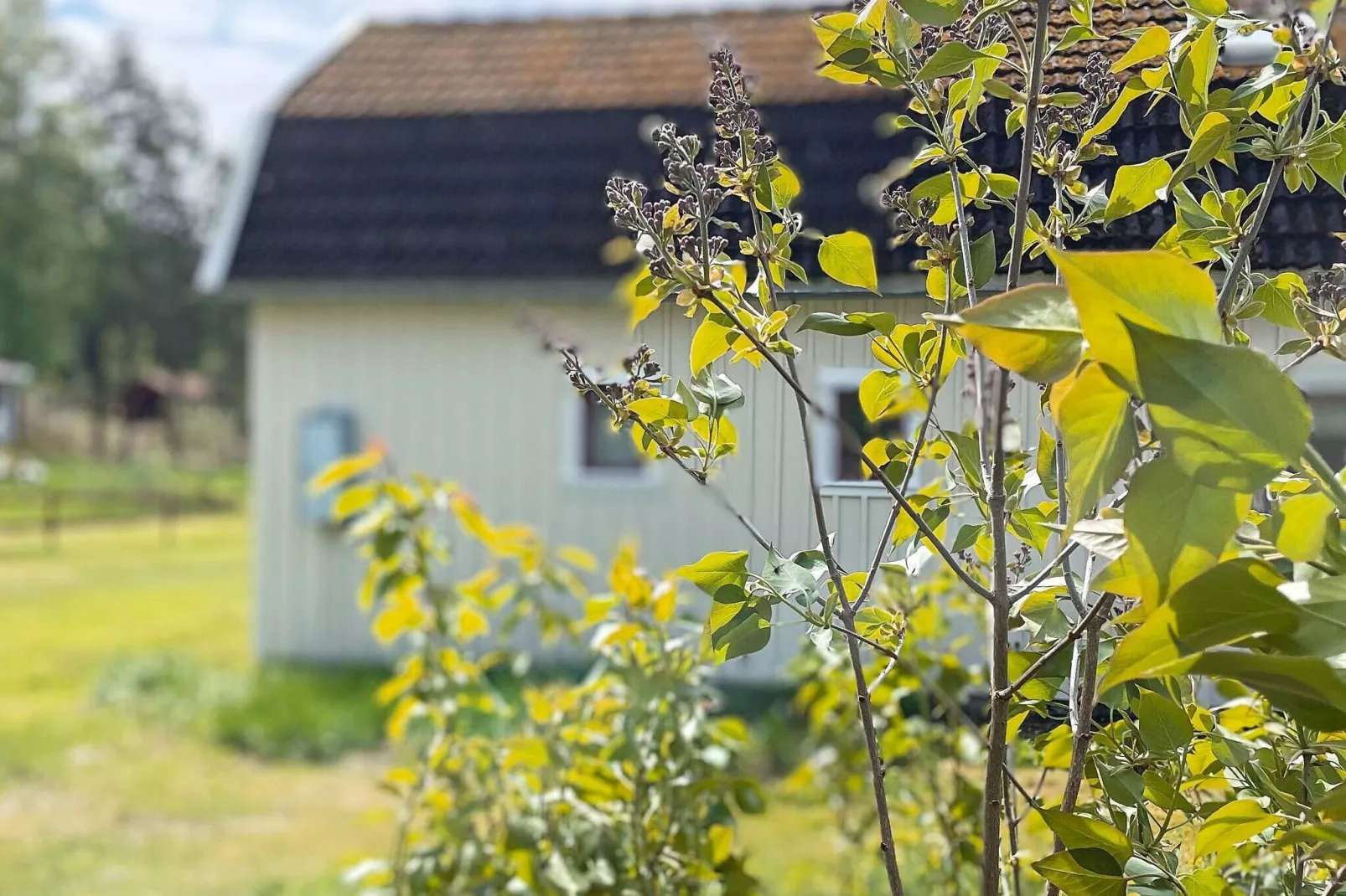 5 persoons vakantie huis in LIDKÖPING-By Traum-Buitenlucht
